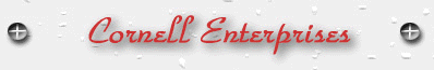 Web hosting Development and online marketing Canada Hong Kong New Zealand